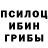 Галлюциногенные грибы мухоморы Mr.Donvolk