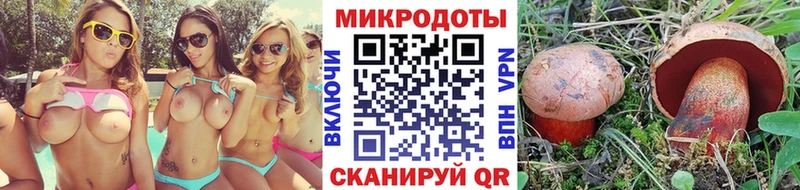 KRAKEN как зайти  Игра  Галлюциногенные грибы прущие грибы 